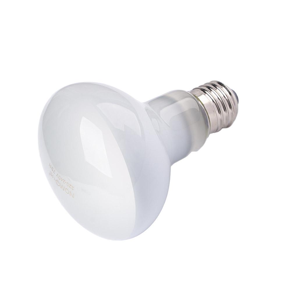 Lampu Pemanas Kura-kura Lampu  - Basking Bulb Halogen ulasan dan harga